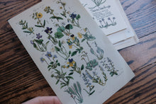 Vintage Floral Set for Junk Journaling/Scrapbooking