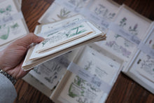 Vintage Floral Set for Junk Journaling/Scrapbooking