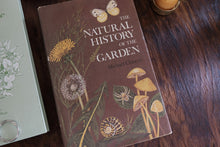 Clearance Box (Price Varies)