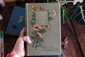 1900s Flowers of the Field