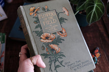 1900s Flowers of the Field