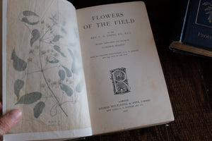 1900s Flowers of the Field