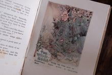 An open vintage book with printed text on one page and a detailed floral illustration on the other, featuring the title 'The Wild Rose'