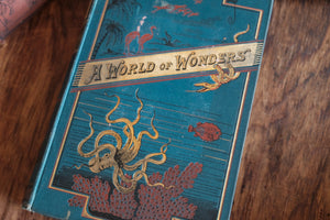 A World of Wonders