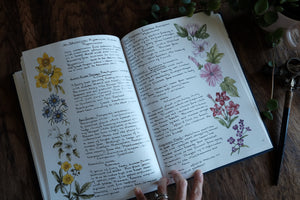 1990s Botanical/Drawing Book