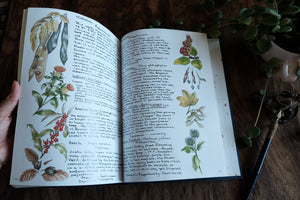 1990s Botanical/Drawing Book