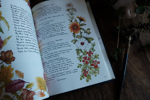 1990s Botanical/Drawing Book