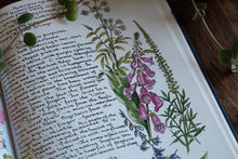 1990s Botanical/Drawing Book