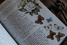 1990s Botanical/Drawing Book