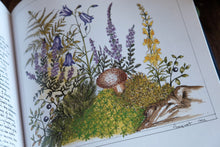 1990s Botanical/Drawing Book