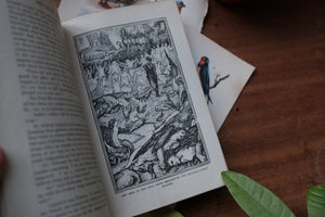 The Blue Fairy Book by Andrew Lang