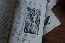 The Blue Fairy Book by Andrew Lang