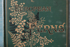 European Ferns by James Britten