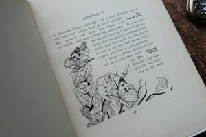 The Butterflies Day - First Edition