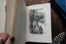 Half Hours with a Naturalist - Rambles Near the Shore