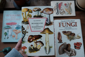 Mushrooms and Toadstools in Color