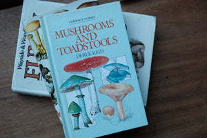 Compact Guide to Mushrooms and Toadstools