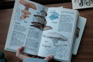 Compact Guide to Mushrooms and Toadstools