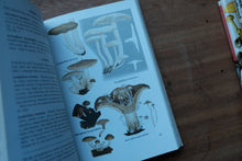 Collins Guide to Mushrooms and Toadstools