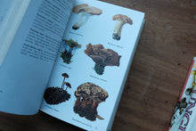 Collins Guide to Mushrooms and Toadstools