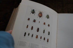 Vintage Insect Book