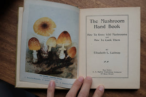 Pocket Mushroom Book