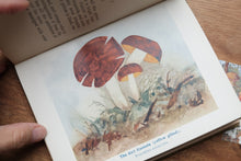 Pocket Mushroom Book