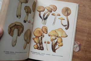 Pocket Mushroom Book