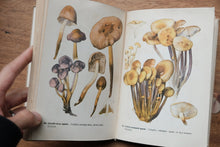 Pocket Mushroom Book