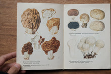 Pocket Mushroom Book