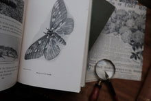 Butterfly and Moth Book