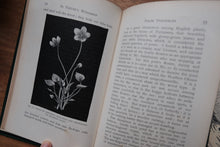 Set of 2 Vintage Nature Books