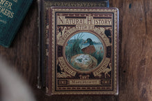 Natural History Stories For My Juvenile Friends