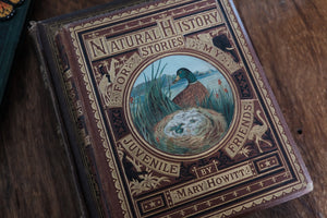 Natural History Stories For My Juvenile Friends