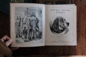 Natural History Stories For My Juvenile Friends