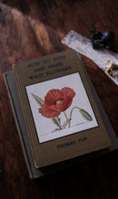 Clearance Box (Price Varies)