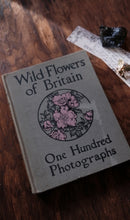 Clearance Box (Price Varies)