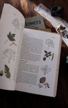 Clearance Box (Price Varies)