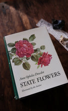 Clearance Box (Price Varies)