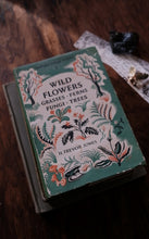 Clearance Box (Price Varies)