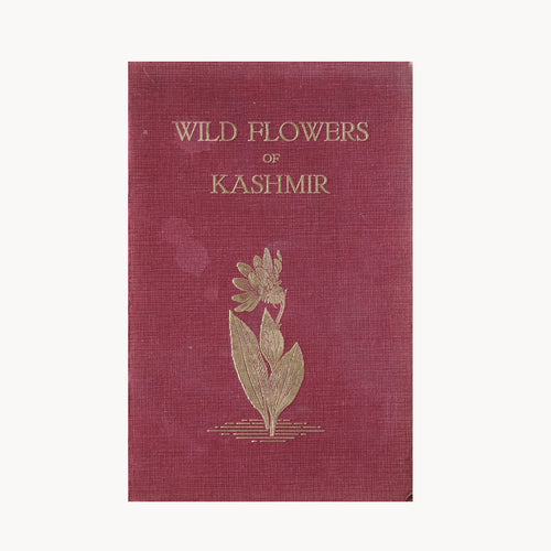 Wild Flowers of Kashmir