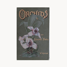 Orchids - Their Culture and Management