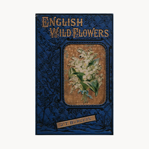 English Wild Flowers
