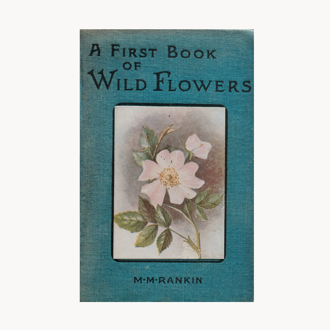A First Book of Wild Flowers