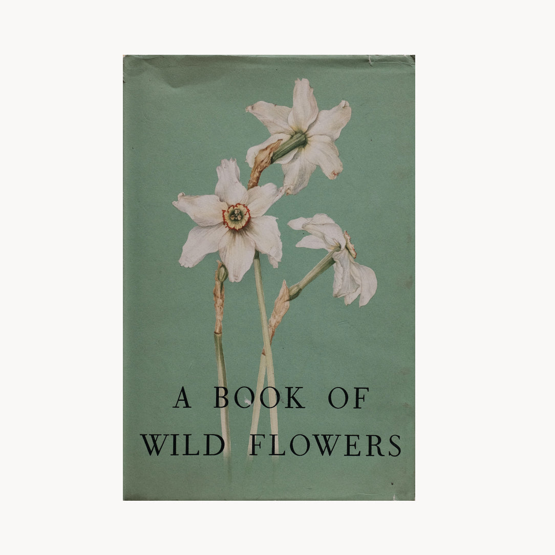 A Book of Wild Flowers by Elsa Felsko – lescargot.papier