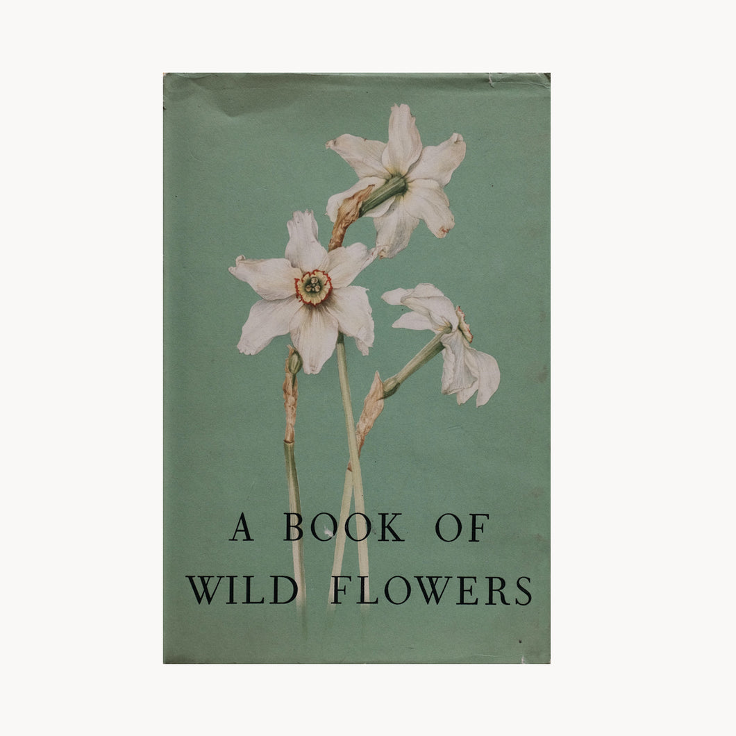 A Book of Wild Flowers by Elsa Felsko
