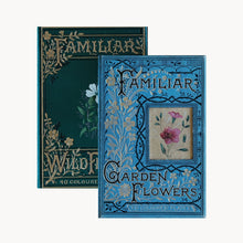 Set of 2 Familiar Garden & Wild Flowers by Edward Hulme