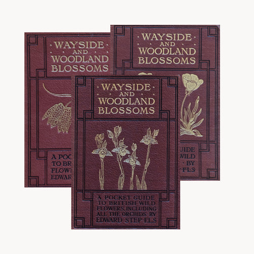 Complete of Set of Wayside and Woodland Blossoms