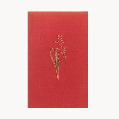 Field and Woodland Plants