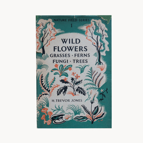 Nature Field Series - Wild Flowers, Grasses, Ferns, Fungi, Trees